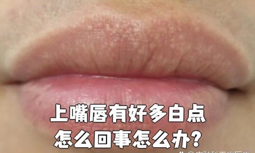 月经期间吃猪肚好吗-月经期间吃猪腰子汤下什么料好网- 月经期吃猪心有什么好处知识,分享来姨妈能吃猪腰吗