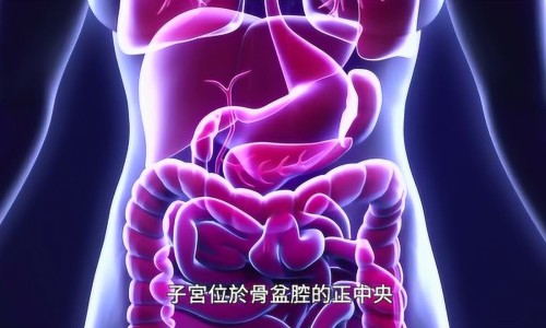 大姨妈能吃腰子吗-月经期间吃猪腰子汤下什么料好网- 月经期吃猪心有什么好处知识,分享来姨妈能吃猪腰吗